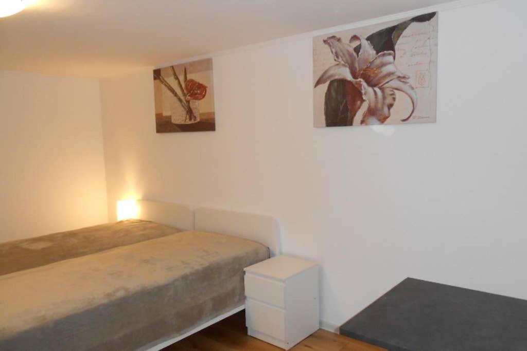 Zimmer In Direkter Naehe Zu Basel Grenzach-Wyhlen Kültér fotó